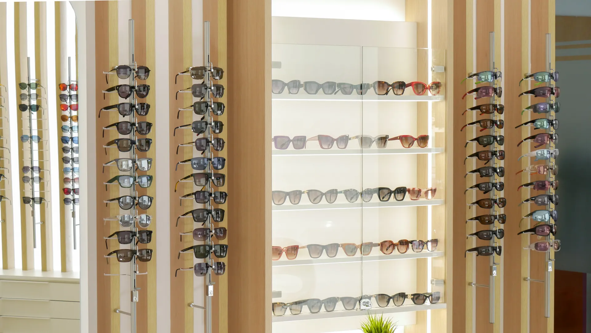 Óptica Family Optik - 6